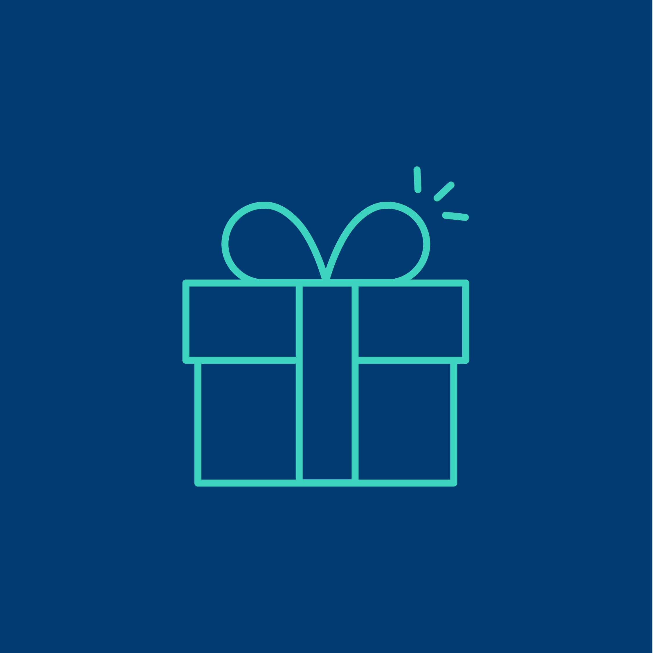 Make a Gift